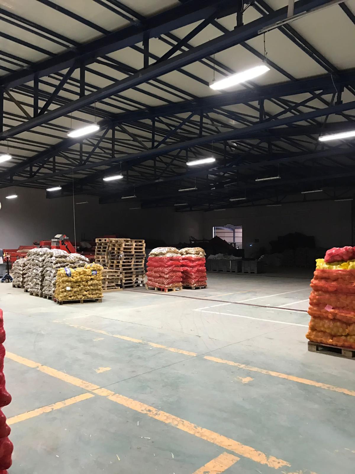 patates soğan paketleme
