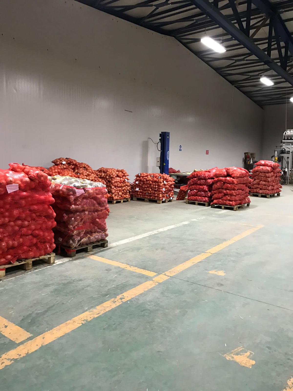 soğan paketleme türkiye niğde