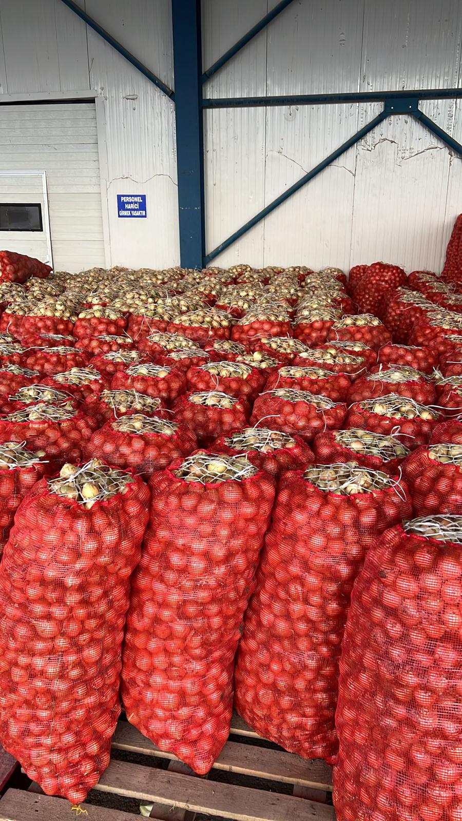 türkiye niğde soğan paketleme depolama