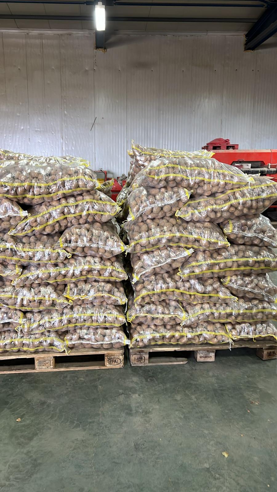 türkiye niğde patates paketleme