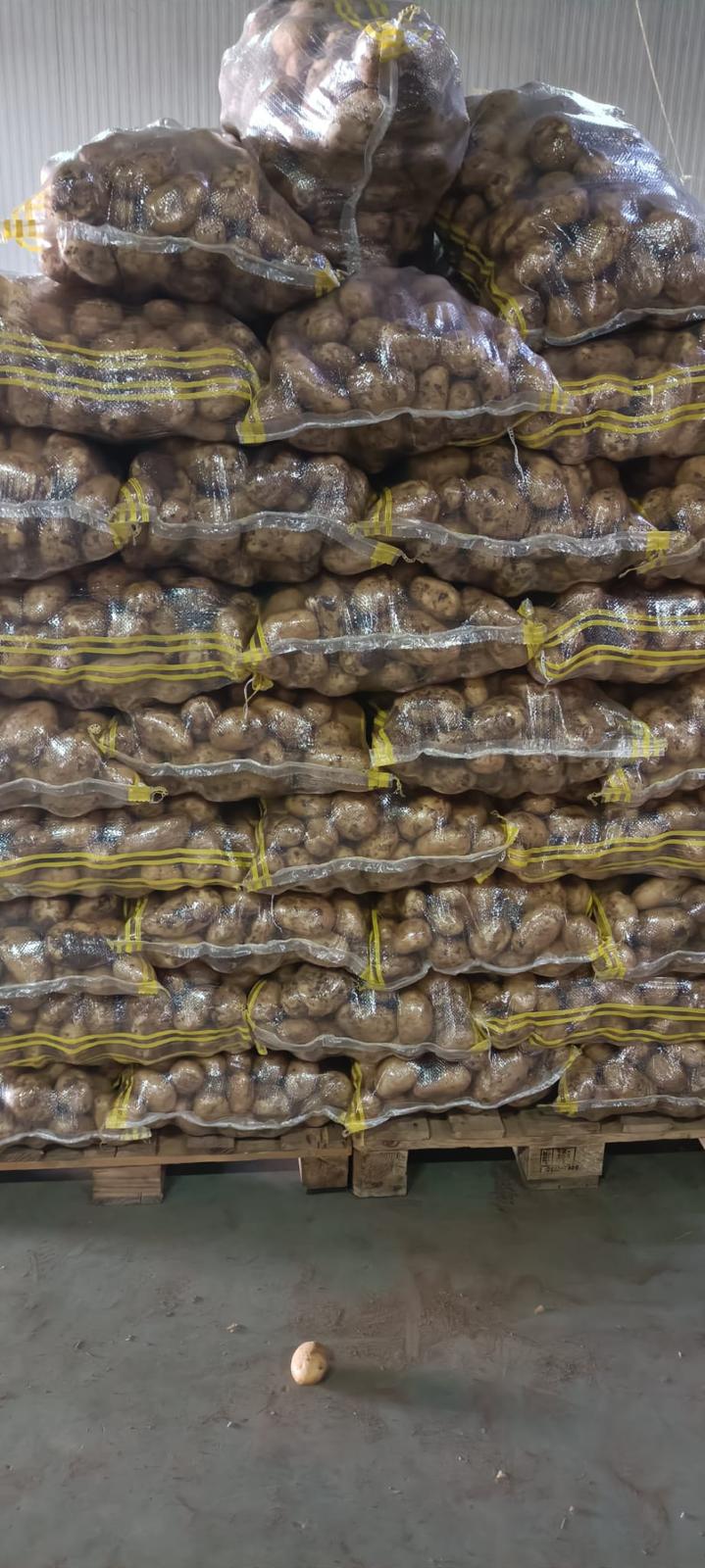 türkiye niğde kızartmalık patates paketleme